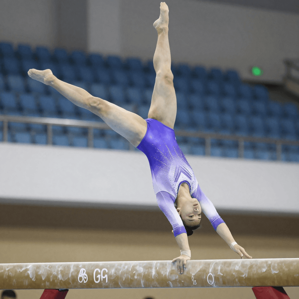 Kling 2.6 Standard Motion Control - AI Motion Control API